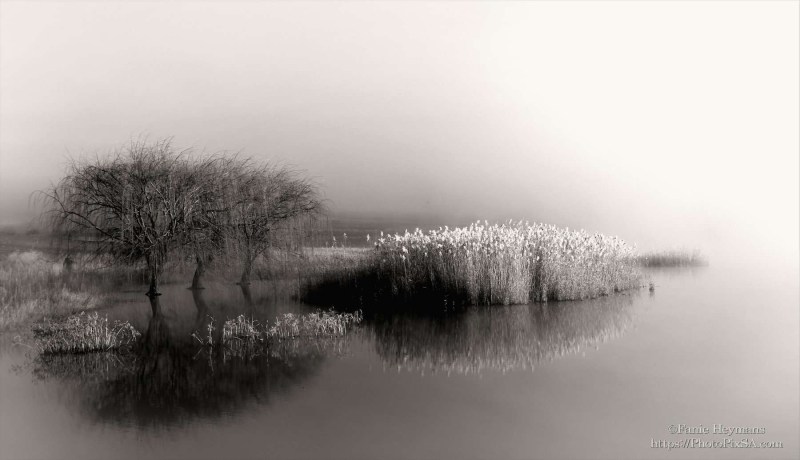 Misty Landscape in black and white