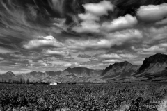 South African Winelands in Western Cape