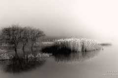Misty Landscape in black and white