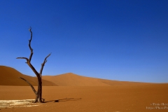 Sossusvlei Deadvlei Desert Landscape