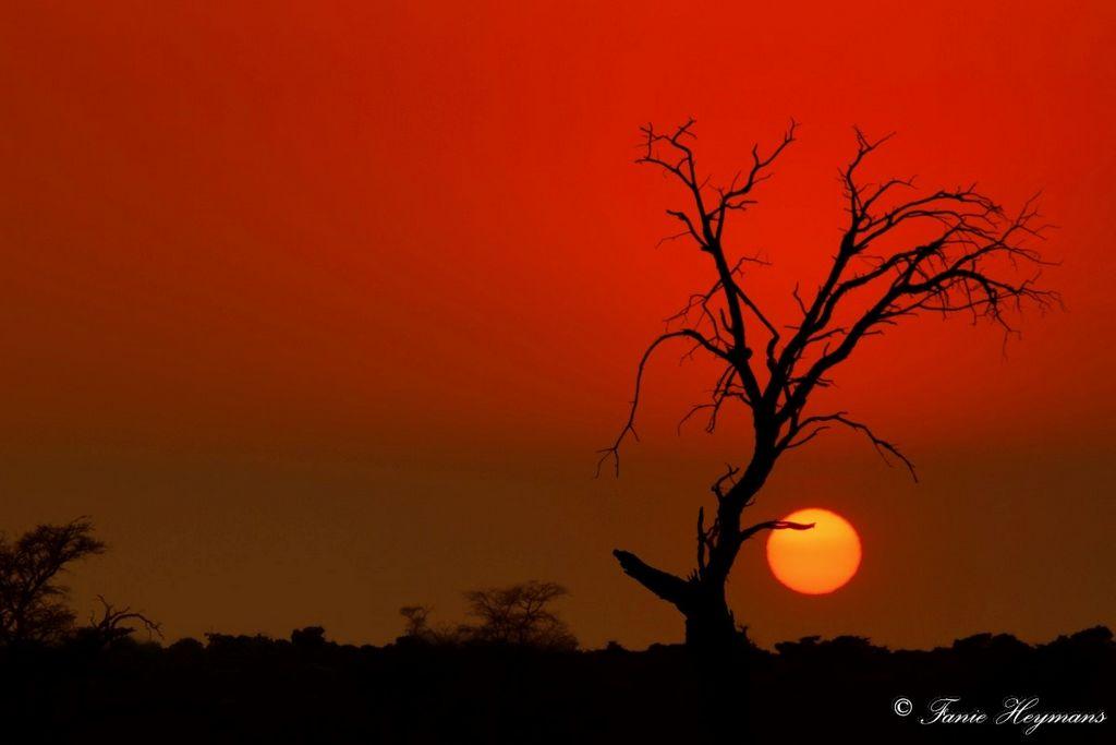 Kgalagadi Sunset at Mata Mata Campsite South Africa